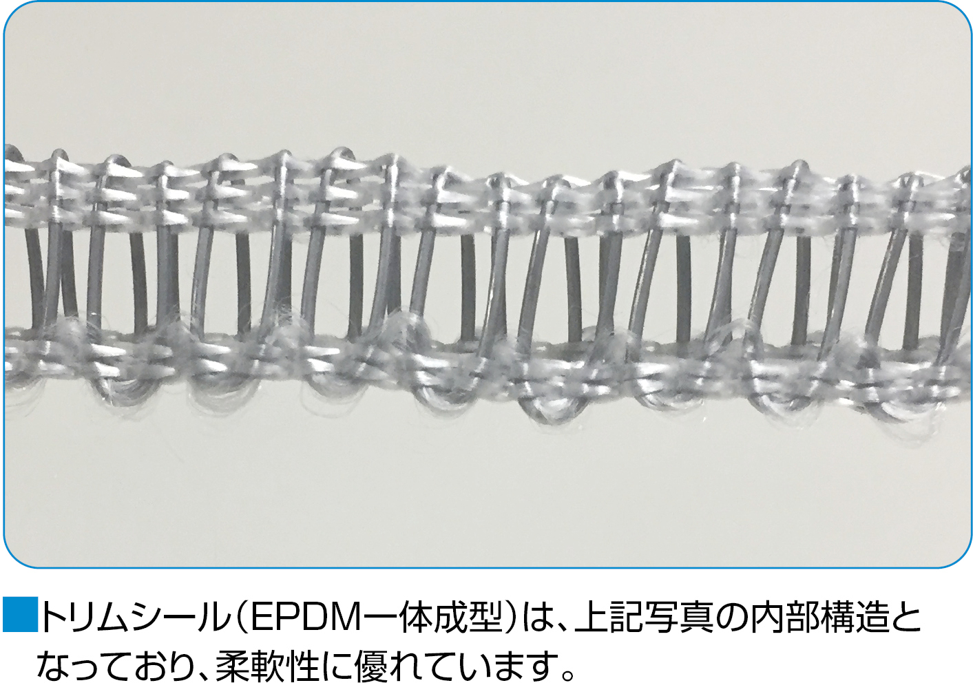 最大76％オフ！ 岩田製作所 トリムシール 一体成型 耐油TPE 31M TSGB160C-L31